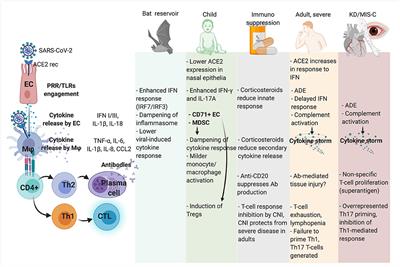 COVID-19 in Immunosuppressed Children